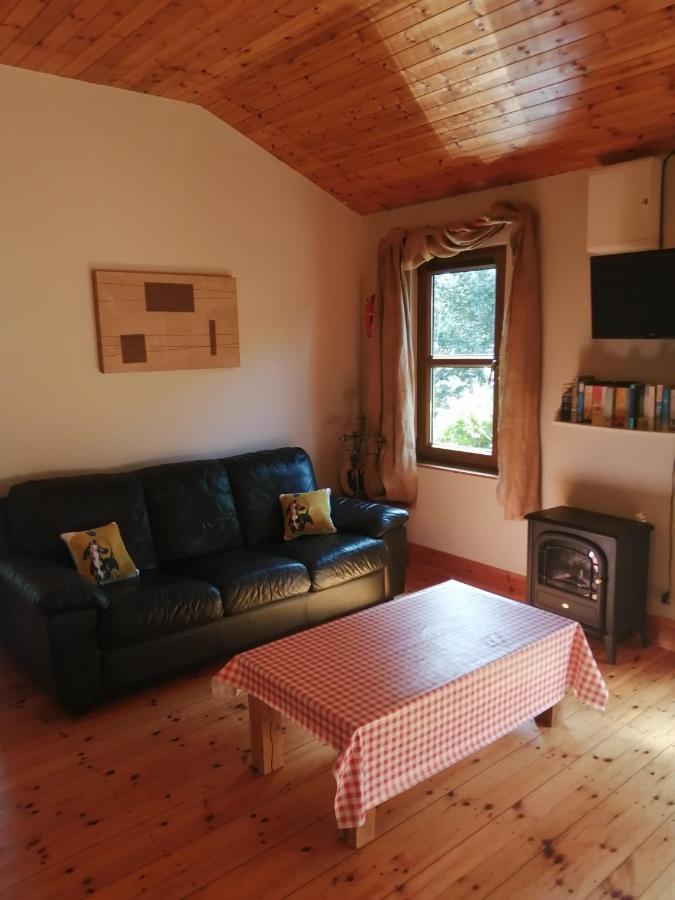 Stay With Your Pet Killarney Exterior photo